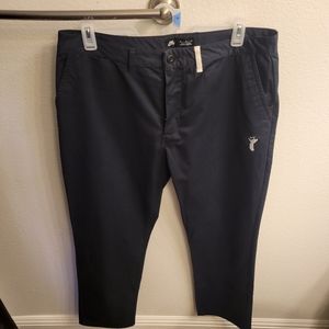 Nike SB chino Angel pants